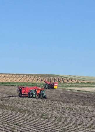 Photo de l'actualité Récolte des pommes de terre 2025