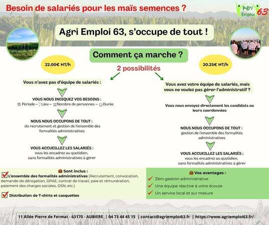 Photo de l'actualit� Avis aux producteurs de ma�s semences !🌽🌽