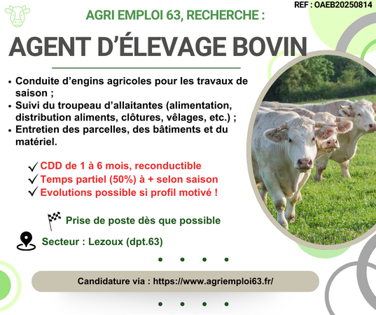 Photo de l'actualit Agent d’levage bovin secteur LEZOUX