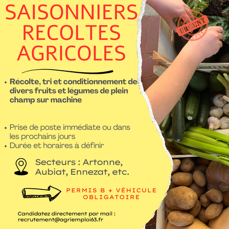 Photo de l'actualit Saisonniers agricoles