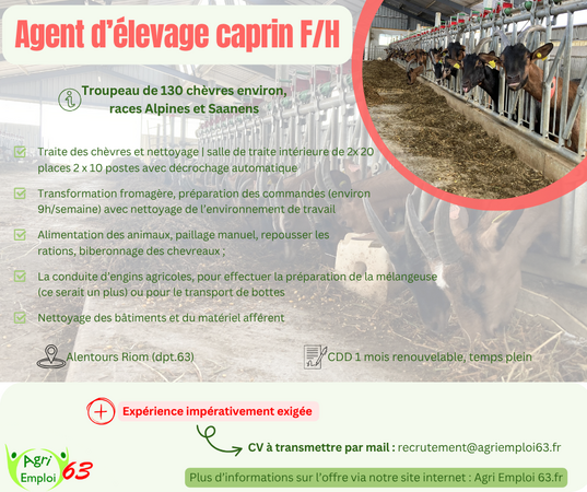 Photo de l'actualité Agent(e) d’élevage caprin  F/H