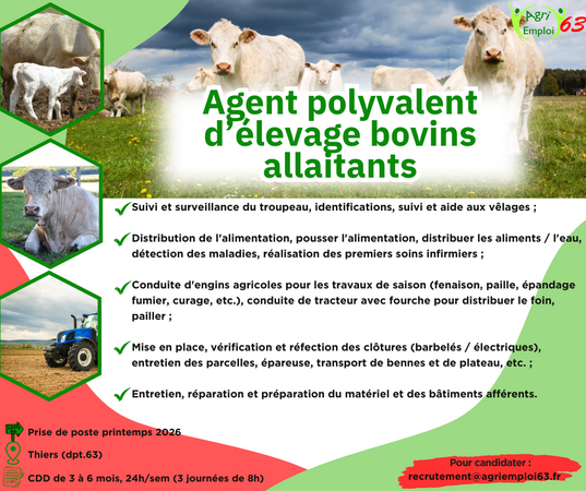 Photo de l'actualit� Agent polyvalent d’�levage bovins allaitants 