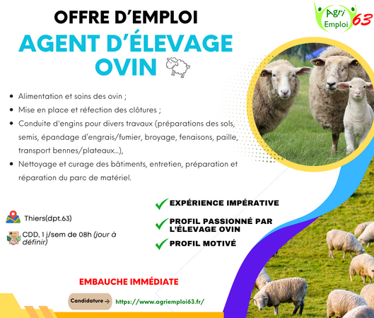 Photo de l'actualit� Agent d’�levage ovin