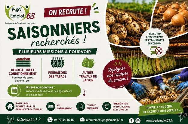 Photo de l'actualit� Saisonniers agricoles